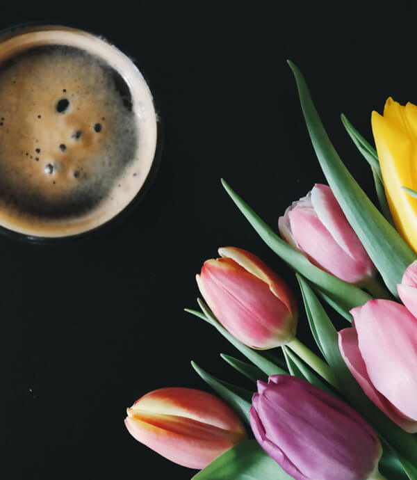 Tulpen